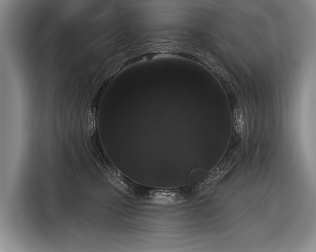 X0000116570471200912171507