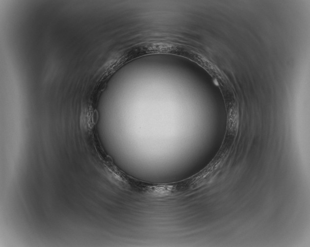 X0000116570474200912171507