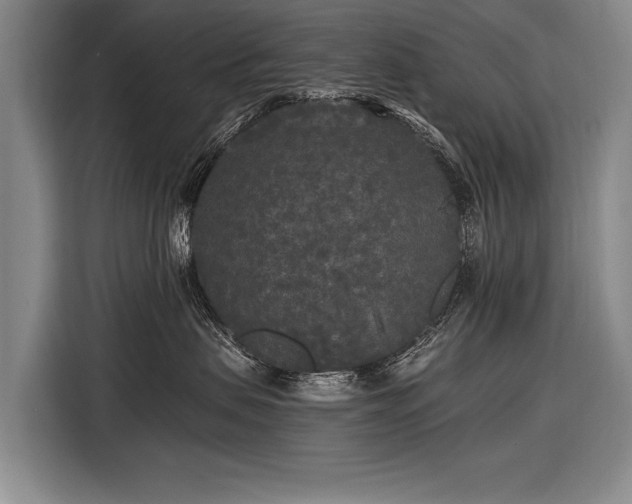 X0000116570479200912171507