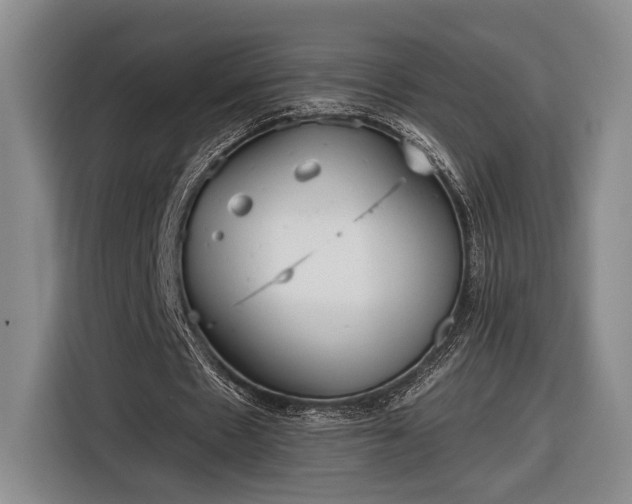 X0000116570481200912171507