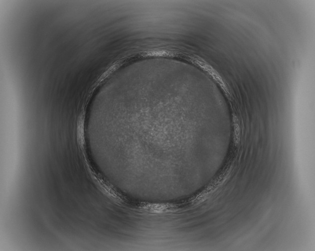 X0000116570482200912171507