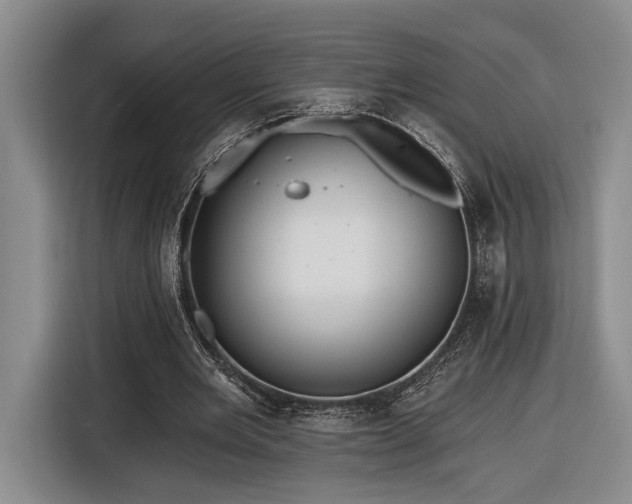 X0000116570485200912171507