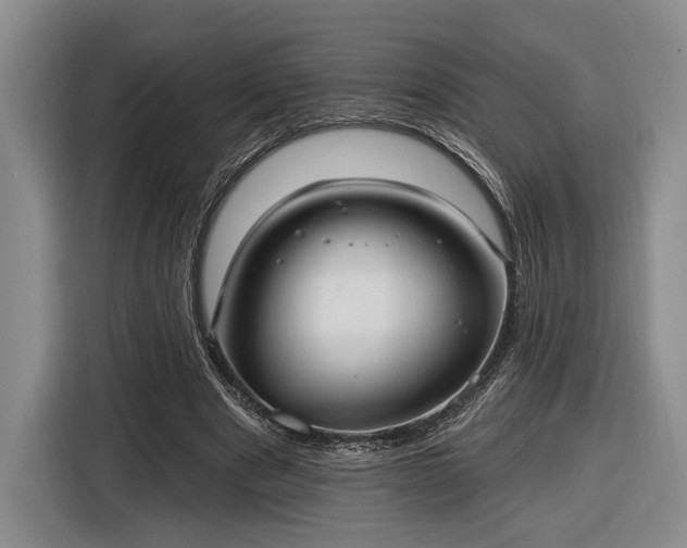 X0000116570489200912171507