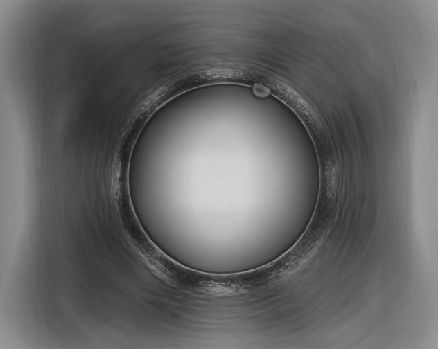 X0000116570490200912171507