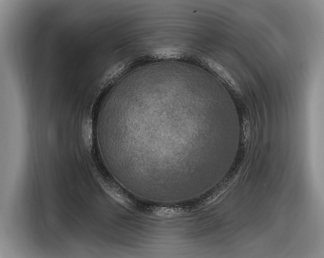 X0000116570494200912171507