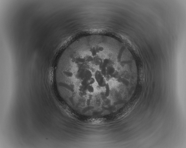 X0000116570495200912171507