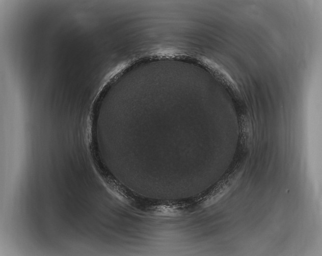 X0000116570496200912171506