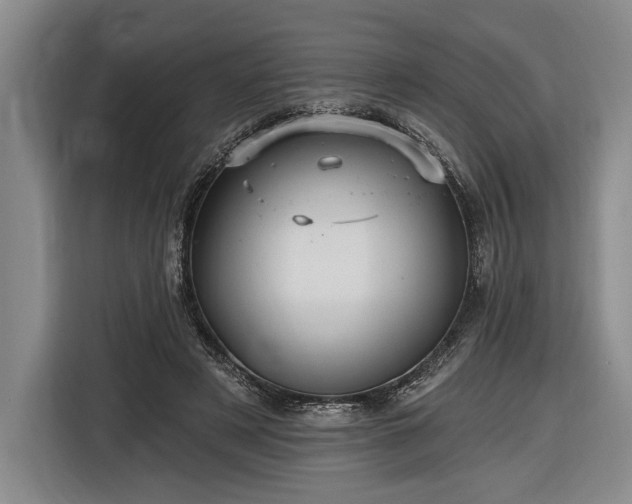 X0000116570497200912171506