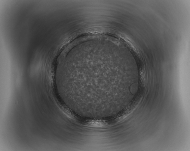 X0000116570499200912171506