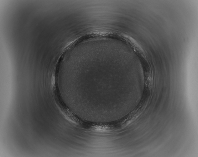 X0000116570500200912171506