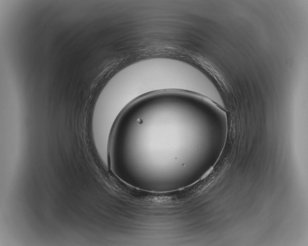 X0000116570501200912171506