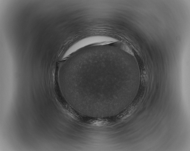 X0000116570504200912171506