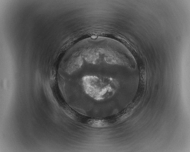 X0000116570507200912171506