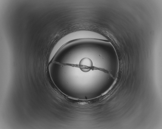 X0000116570509200912171506