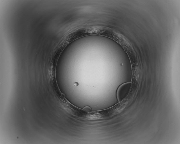 X0000116570510200912171506