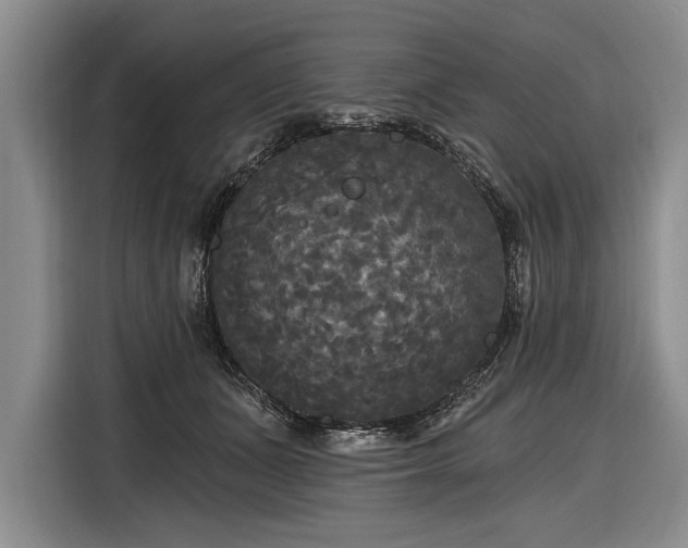 X0000116570511200912171506