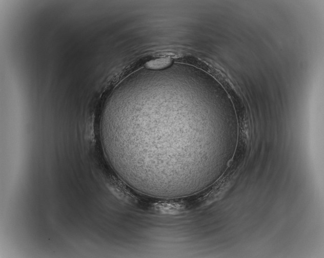 X0000116570512200912171506