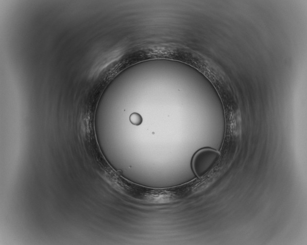 X0000116570514200912171506