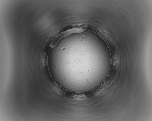 X0000116570515200912171506