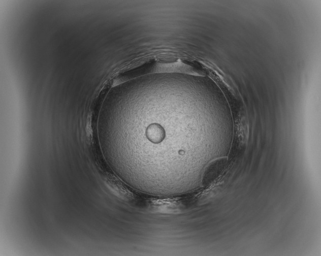 X0000116570516200912171506