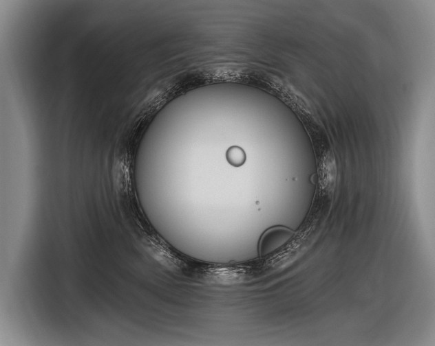 X0000116570522200912171506