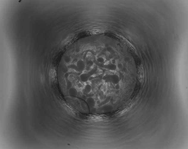 X0000116570523200912171506