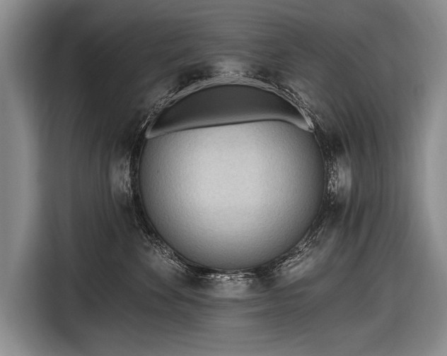 X0000116570524200912171506