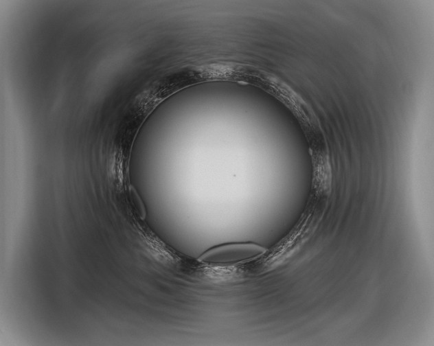 X0000116570525200912171506