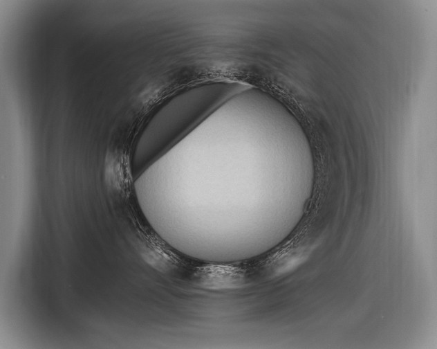 X0000116570528200912171506