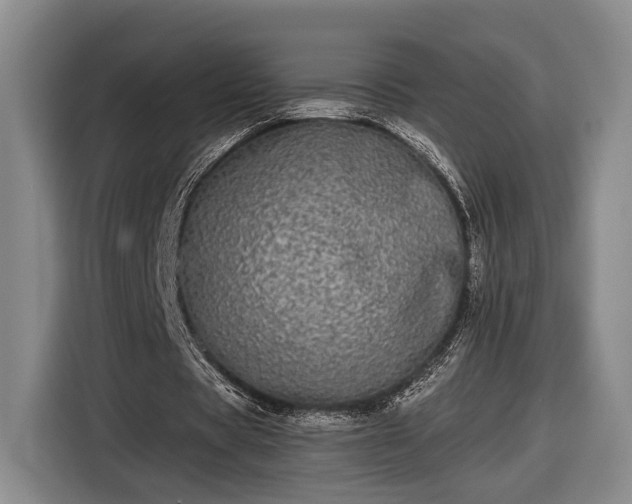 X0000116570529200912171505