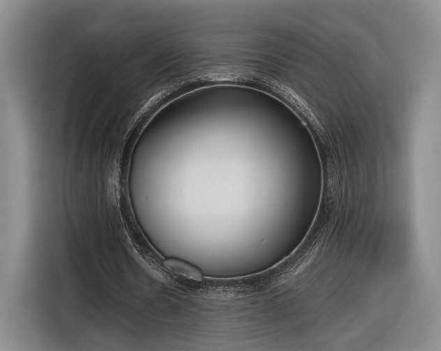 X0000116570530200912171505