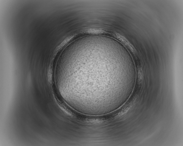 X0000116570533200912171506