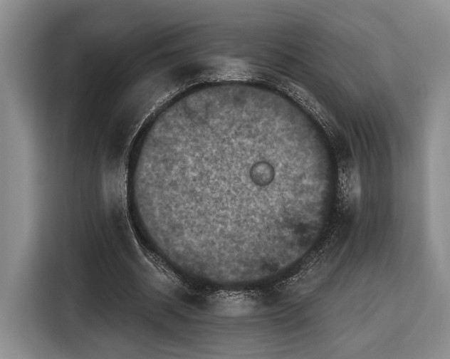 X0000116570534200912171506