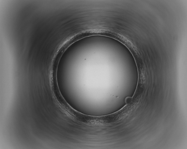 X0000116570535200912171506