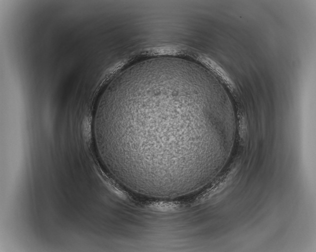 X0000116570537200912171506