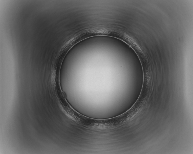 X0000116570538200912171506