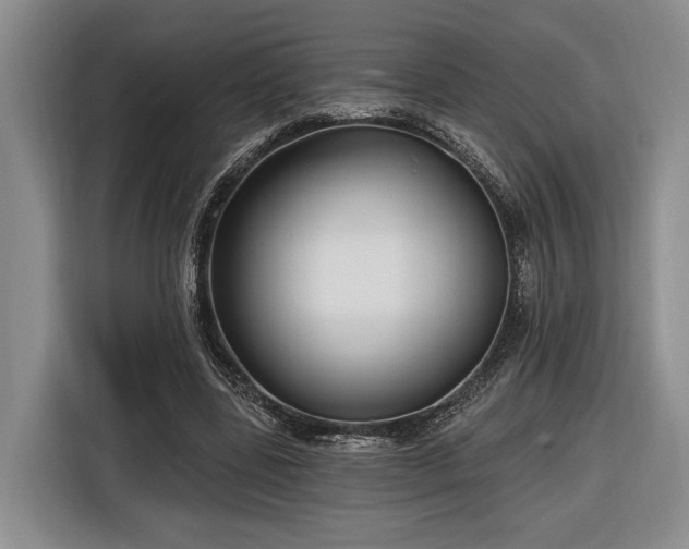 X0000116570539200912171506