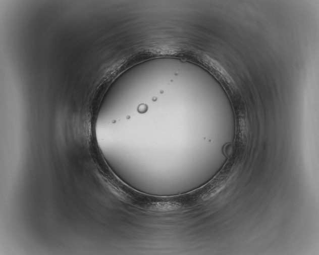 X0000116570541200912171506