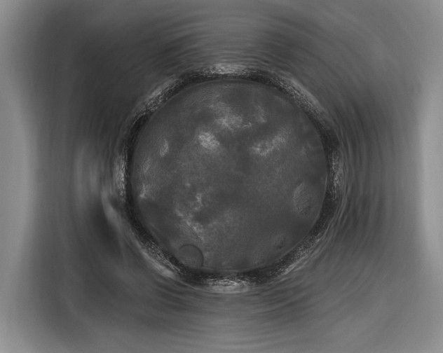 X0000116570542200912171506