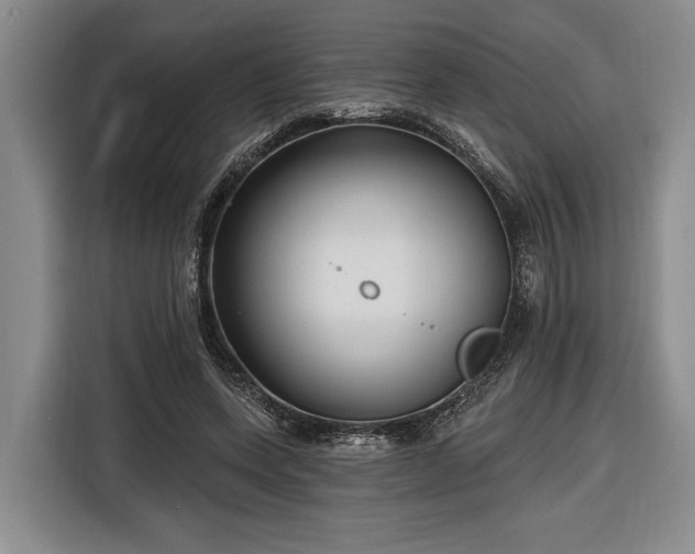 X0000116570543200912171506