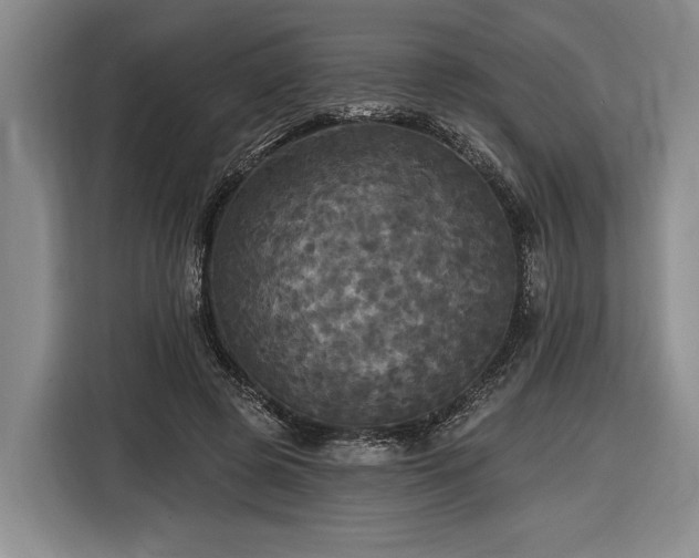 X0000116570545200912171506