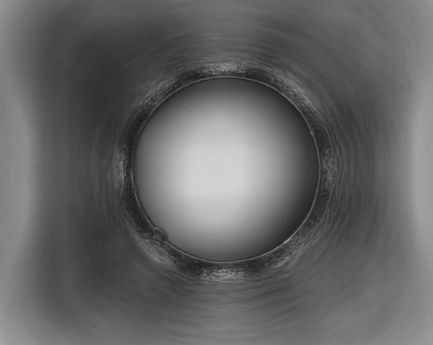 X0000116570546200912171506