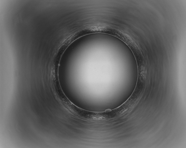 X0000116570547200912171506