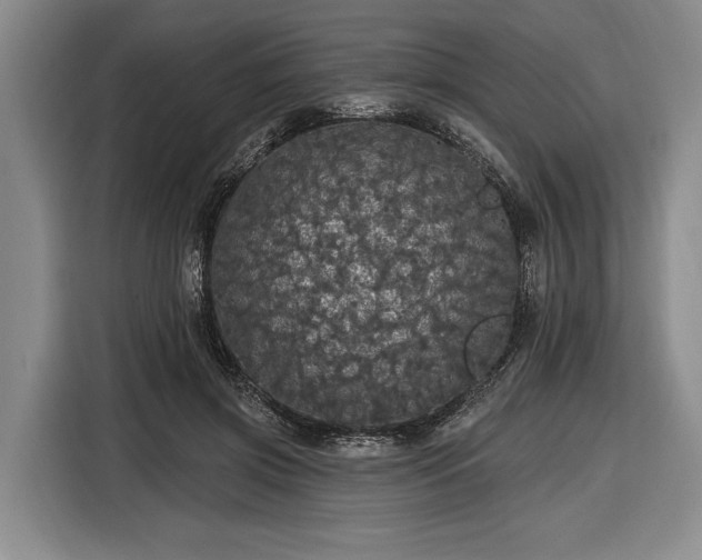 X0000116570549200912171506