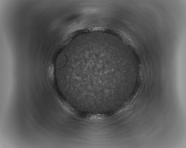 X0000116570550200912171506