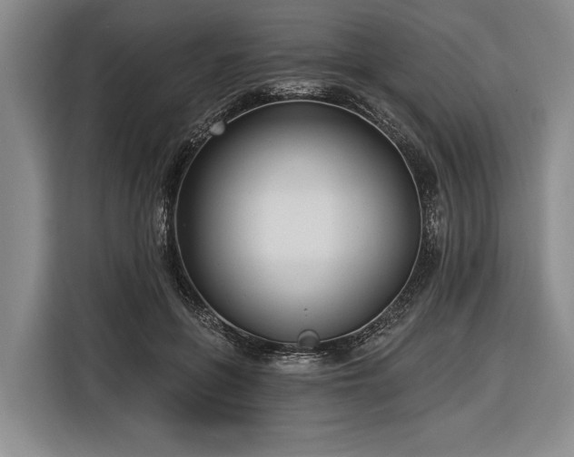 X0000116570551200912171506