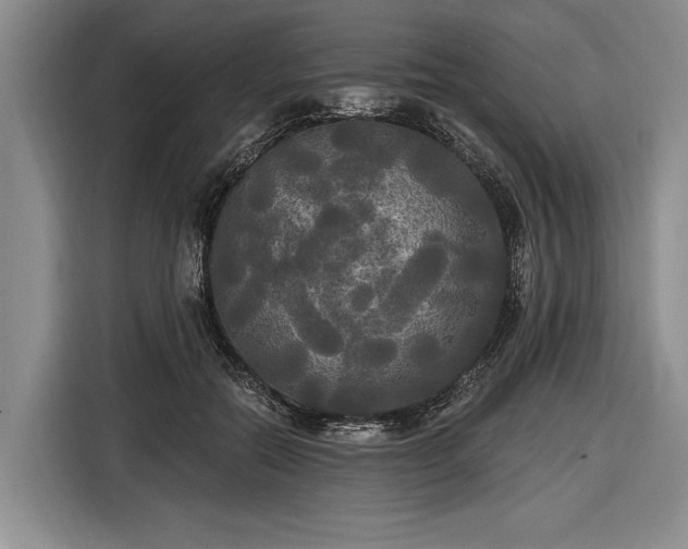 X0000116570554200912171506