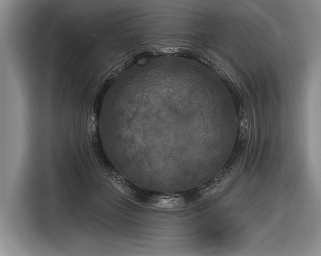 X0000116570555200912171506