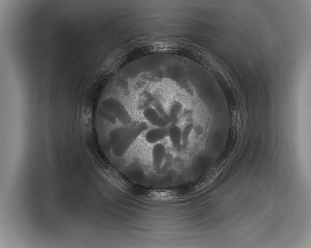 X0000116570557200912171506