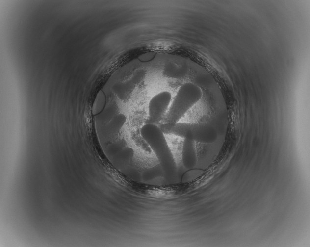 X0000116570561200912171506